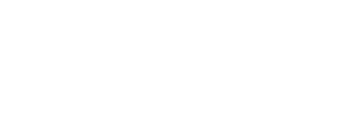 Pulsin logo