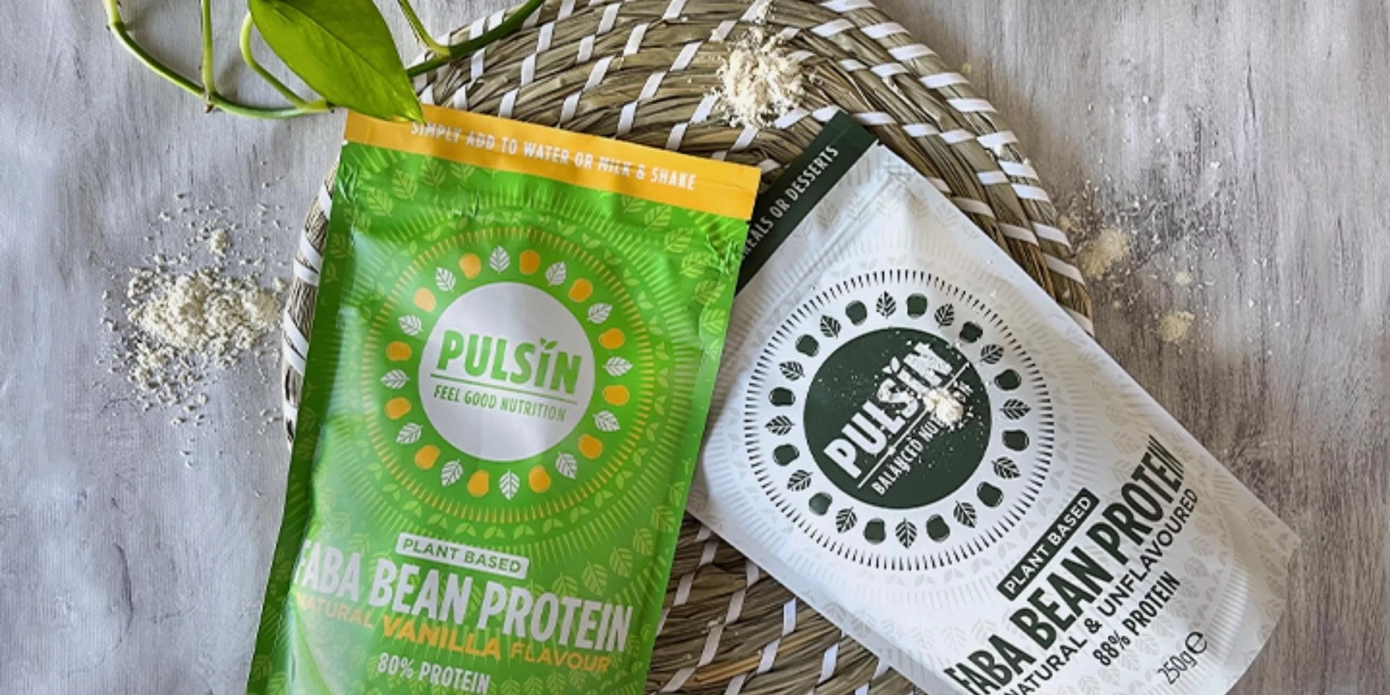 Substituting Whey with Faba bean protein